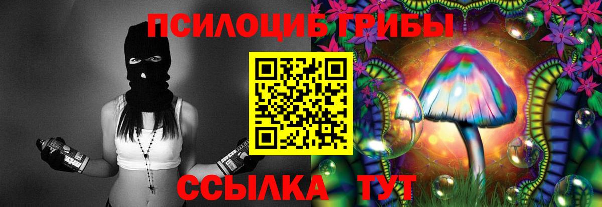 Псилоцибиновые грибы Cubensis  Псилоцибиновые грибы Psilocybine cubensis  Вход с VPN  Кинешма 