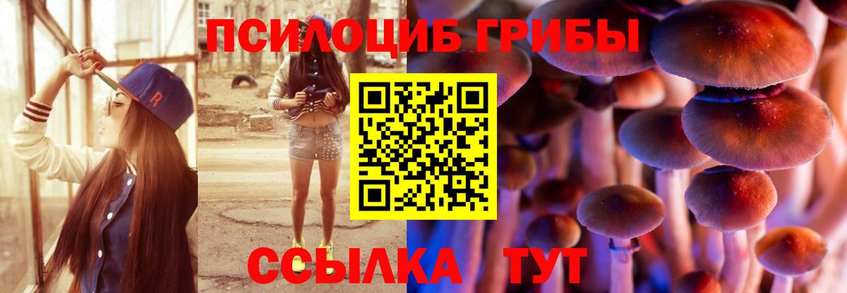 Псилоцибиновые грибы Psilocybe Кинешма